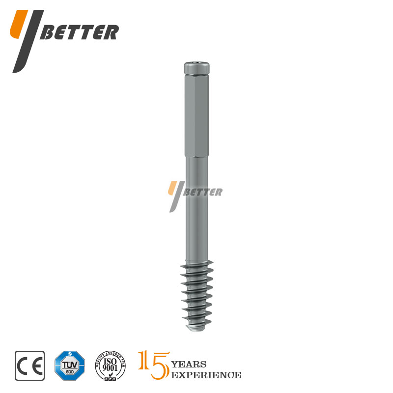 DHS鎖定板（拉力螺釘）