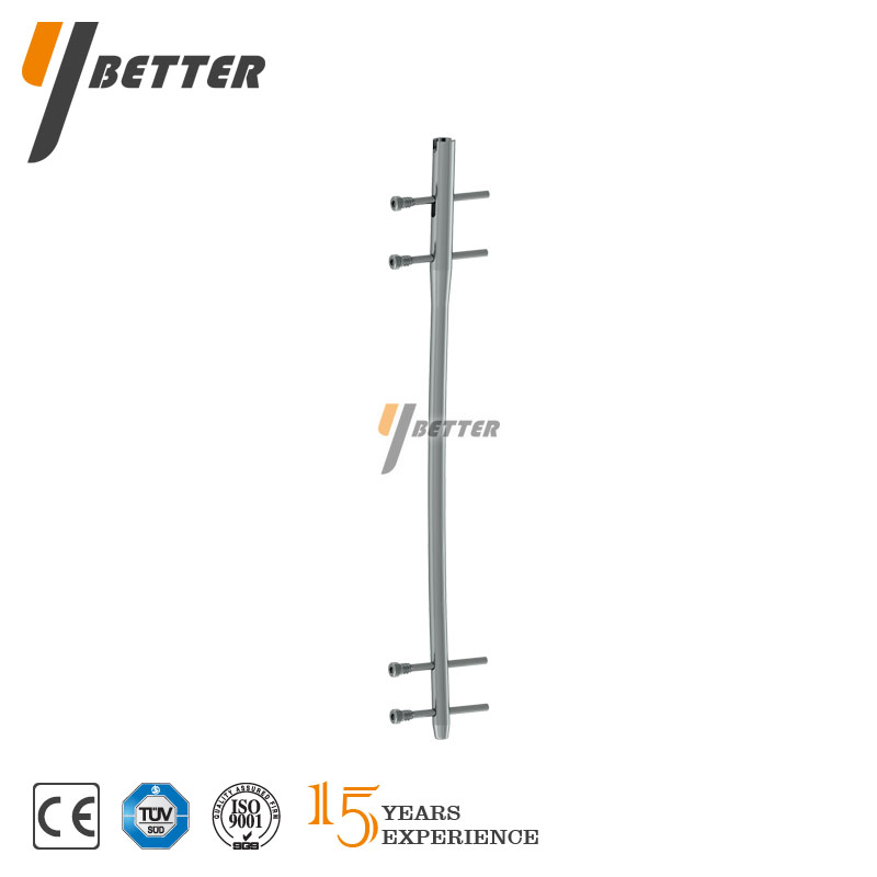 股骨帶鎖髓內釘