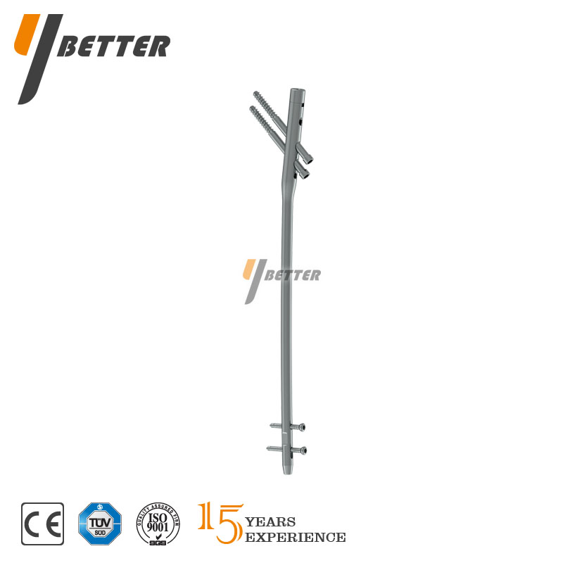 股骨帶鎖髓內釘（3合1）