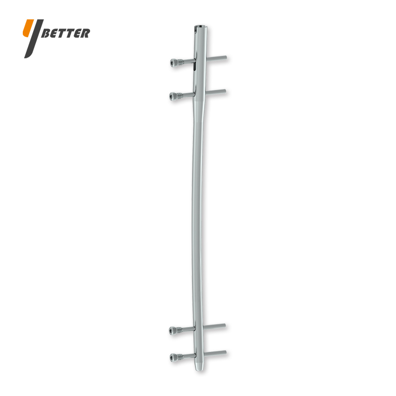 股骨帶鎖髓內釘